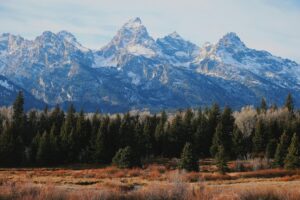 Majestic view of the Grand Teton mountain range in Wyoming with evergreen forests in the foreground.
